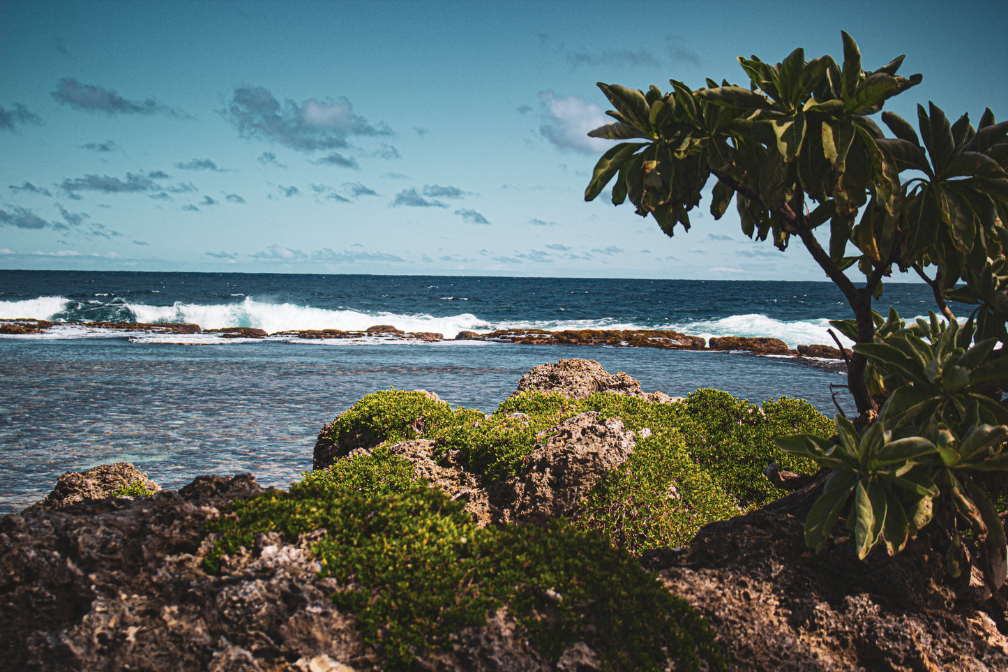 Ocean View Lustre Print 1