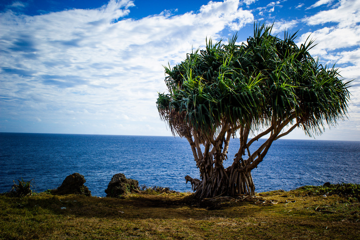 Ocean View Lustre Print 2