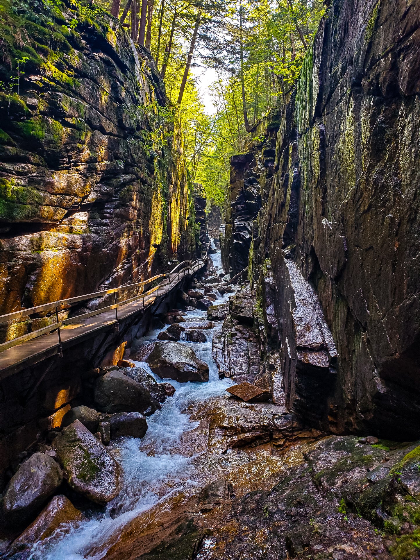 Flume Gorge New Hampshire Lustre Print